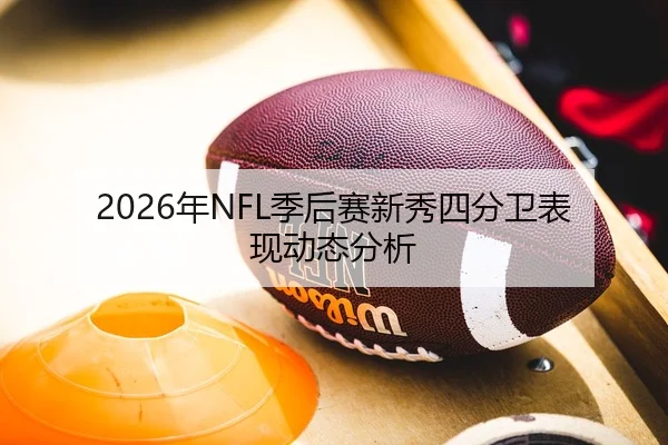 2026年NFL季后赛新秀四分卫表现动态分析