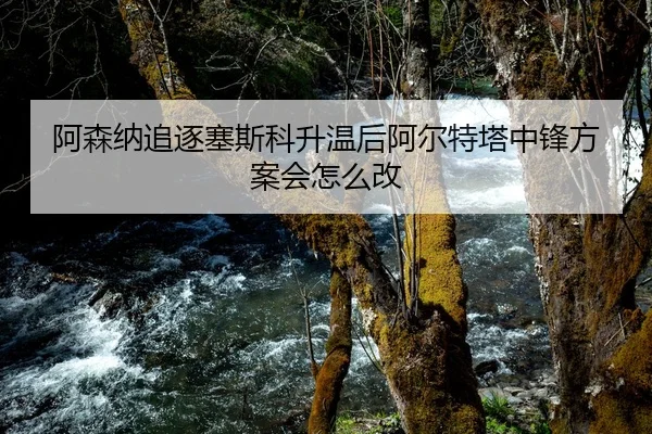 阿森纳追逐塞斯科升温后阿尔特塔中锋方案会怎么改