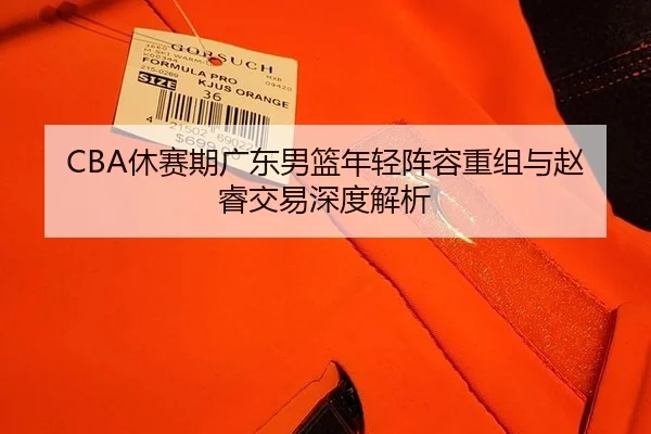 CBA休赛期广东男篮年轻阵容重组与赵睿交易深度解析