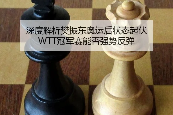 深度解析樊振东奥运后状态起伏 WTT冠军赛能否强势反弹